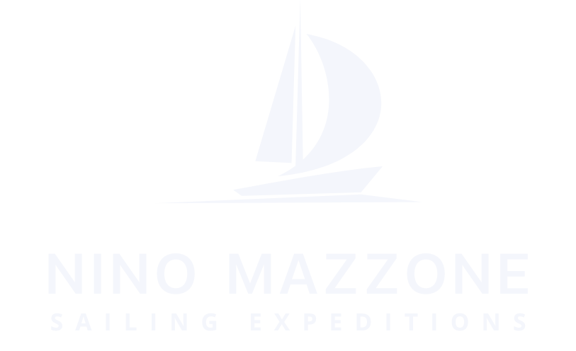 Logo Nino Mazzone
