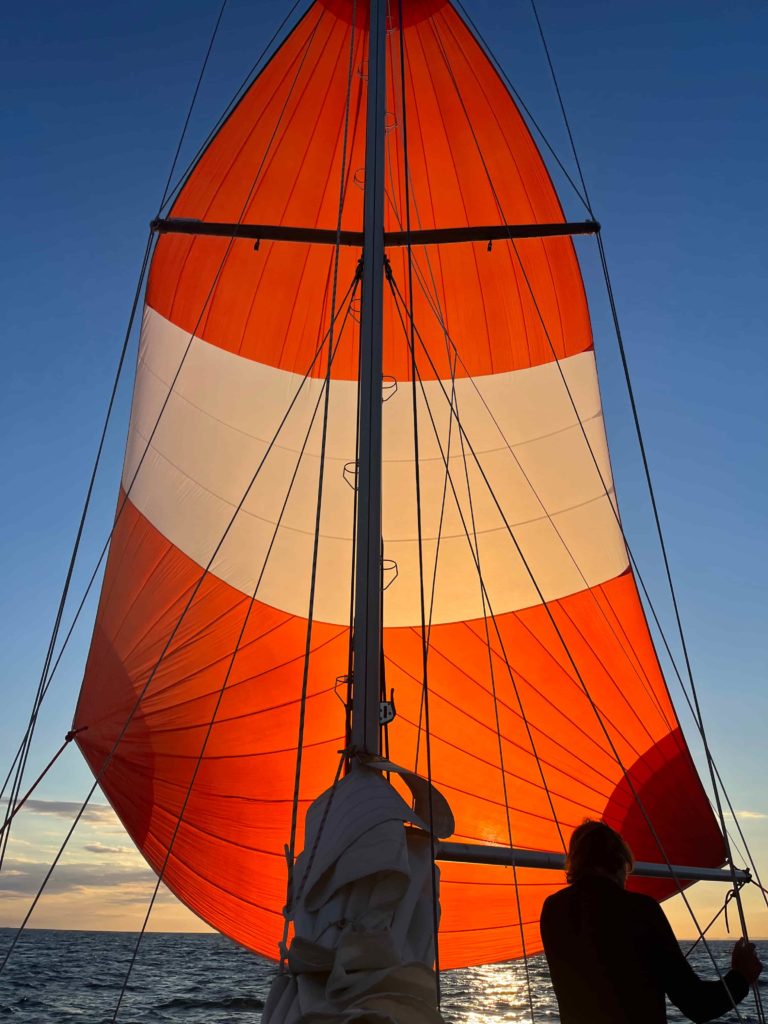 À propos de Nino Mazzone – Skipper & Expert Maritime